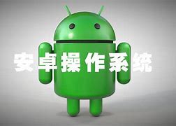 ankisnap安卓版appsankiwebnet