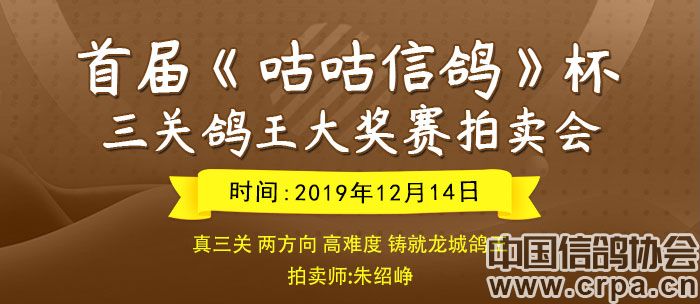 咕咕信鸽苹果版咕咕信鸽电脑版官网