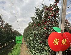 社会扶贫苹果版社会扶贫app注册下载