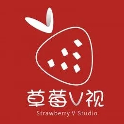 草莓安卓黄版无视风险安装下载app软件