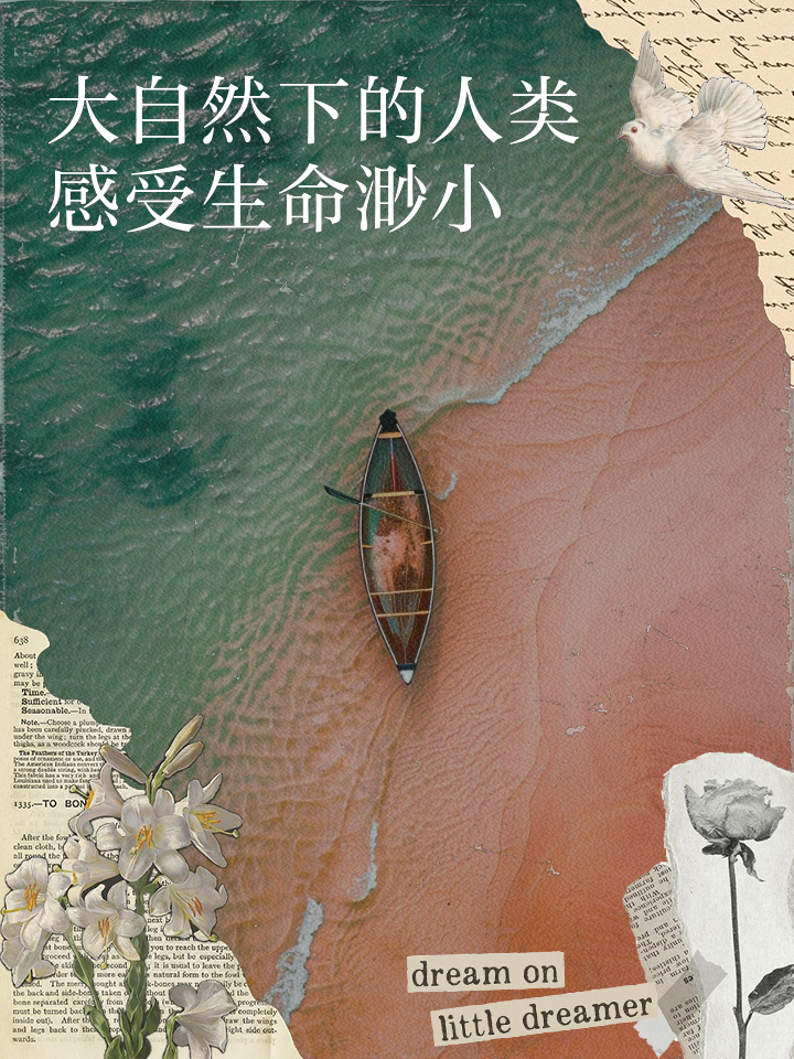 关于下载渺小游戏手机版的信息