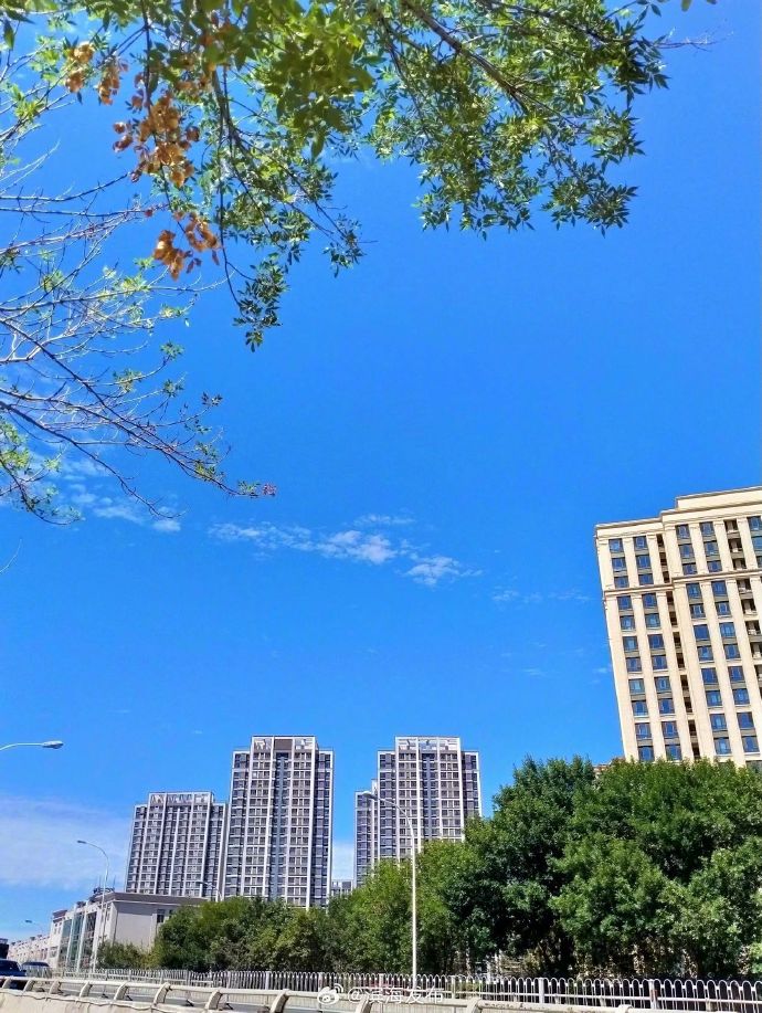 易滨城客户端易商城app下载