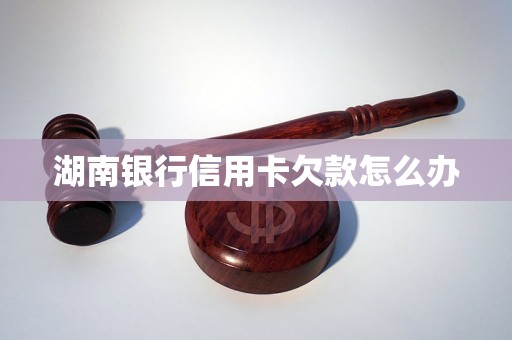 湖南银行专属客户端湖南银行专属客户端官网-第2张图片-太平洋在线下载