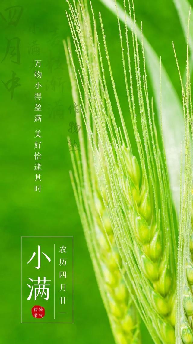 小满手机客户端小满分期app下载