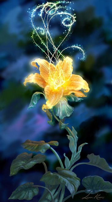 flower手机版安卓flowerplus官网-第2张图片-太平洋在线下载